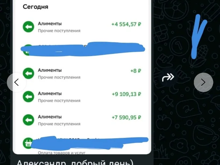 После простоя появились реальные поступления по алиментам